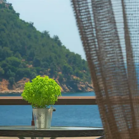 Agorastos Hotell
