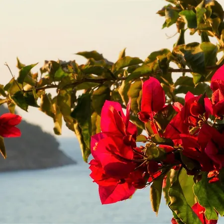 Agorastos Hotell 2*